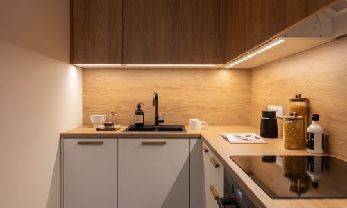 Dārzciema liepas demo 9