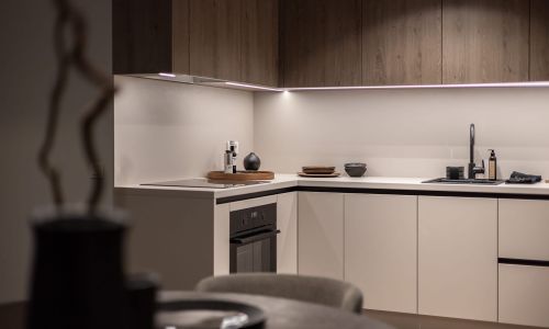 Dārzciema liepas demo 8